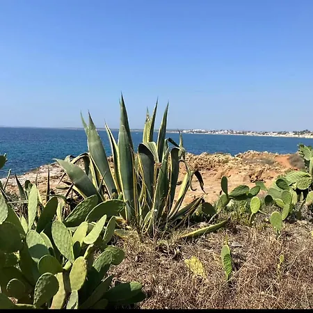 Il Cortile Sul Mare بيت للعطل كالابيرناردو